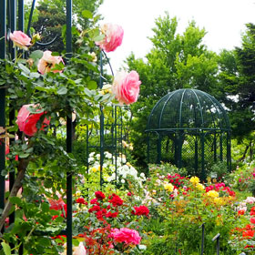 横浜市こども植物園イメージ
