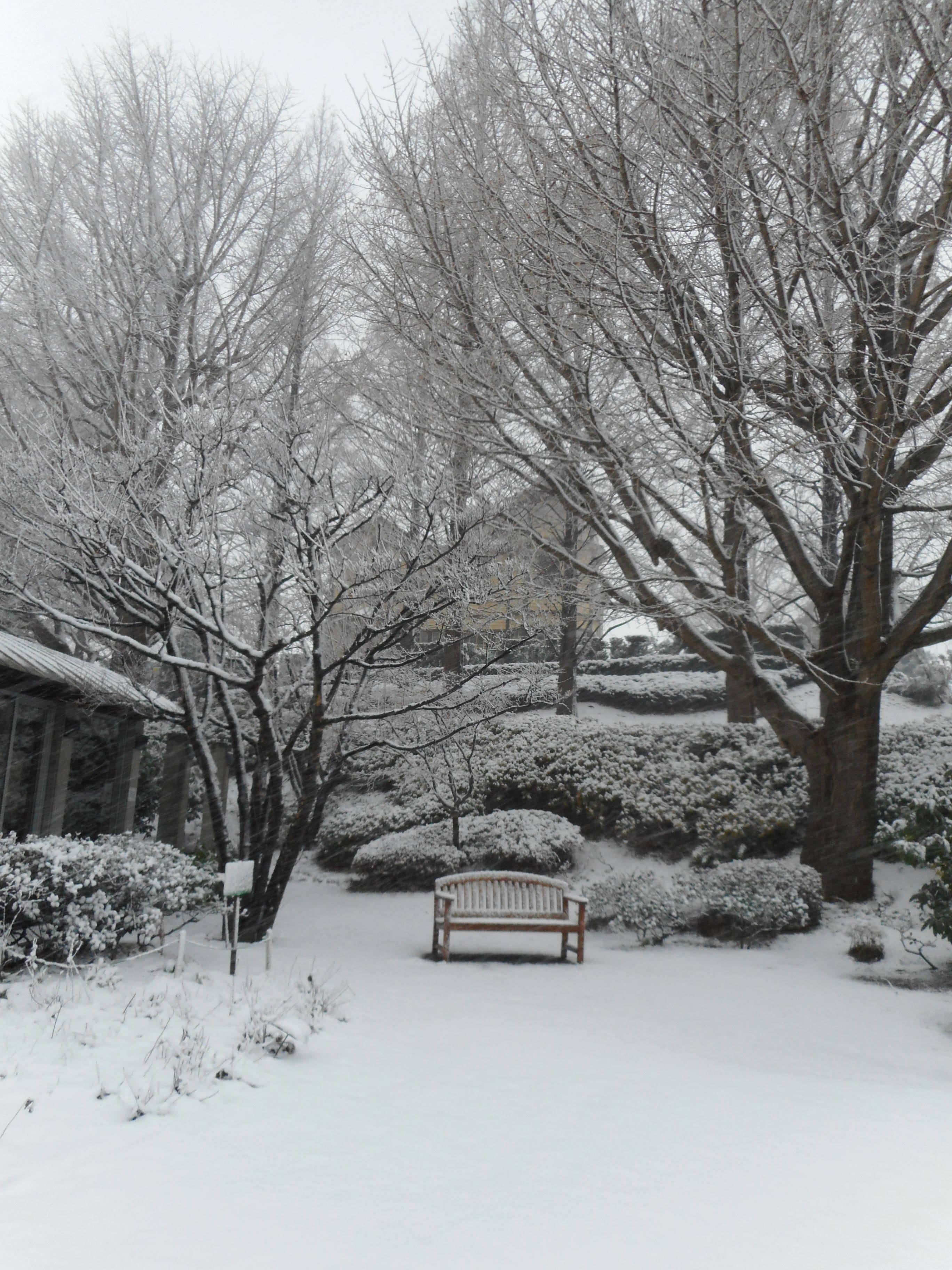 イタリア山庭園の雪景色 ブログ 山手イタリア山庭園公式サイト 公益財団法人 横浜市緑の協会