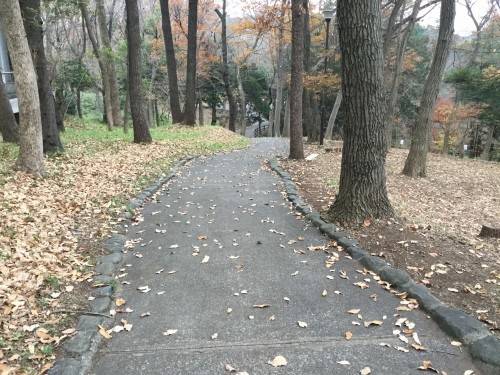 冬の草刈り ブログ 横浜市児童遊園地公式サイト 公益財団法人 横浜市緑の協会