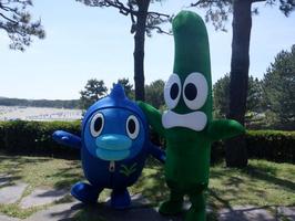 アマモ場再生活動を行っています【11月~12月播種】の画像