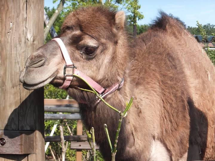 ☆よこはま動物園ズーラシア☆02