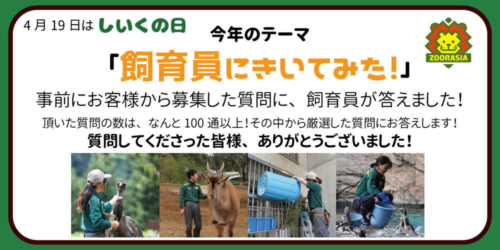 飼育員にきいてみよう 最終回 ブログdeズーラシア よこはま動物園ズーラシア公式サイト 公益財団法人 横浜市緑の協会