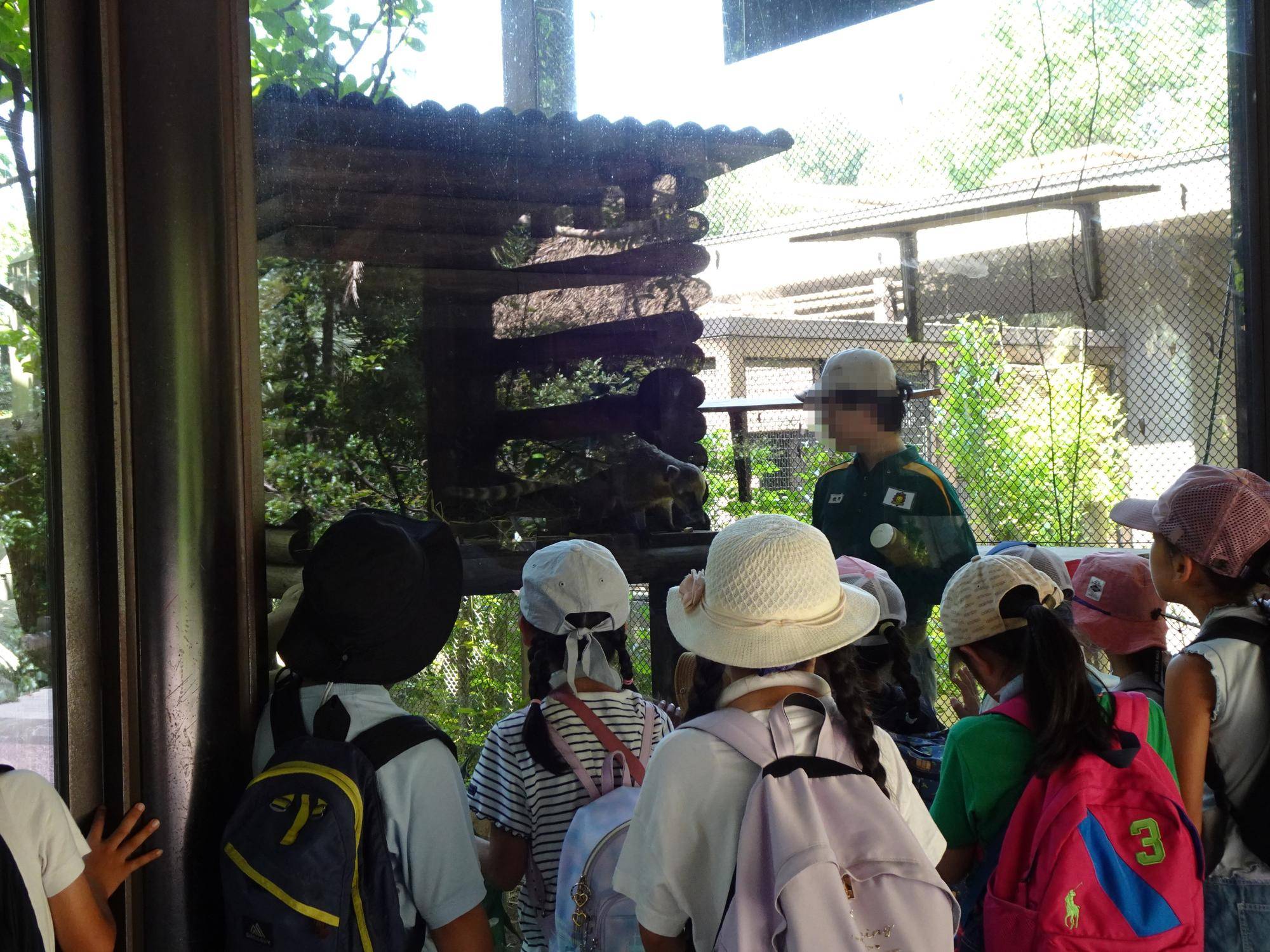 アカハナグマ観察 モザイク.jpg