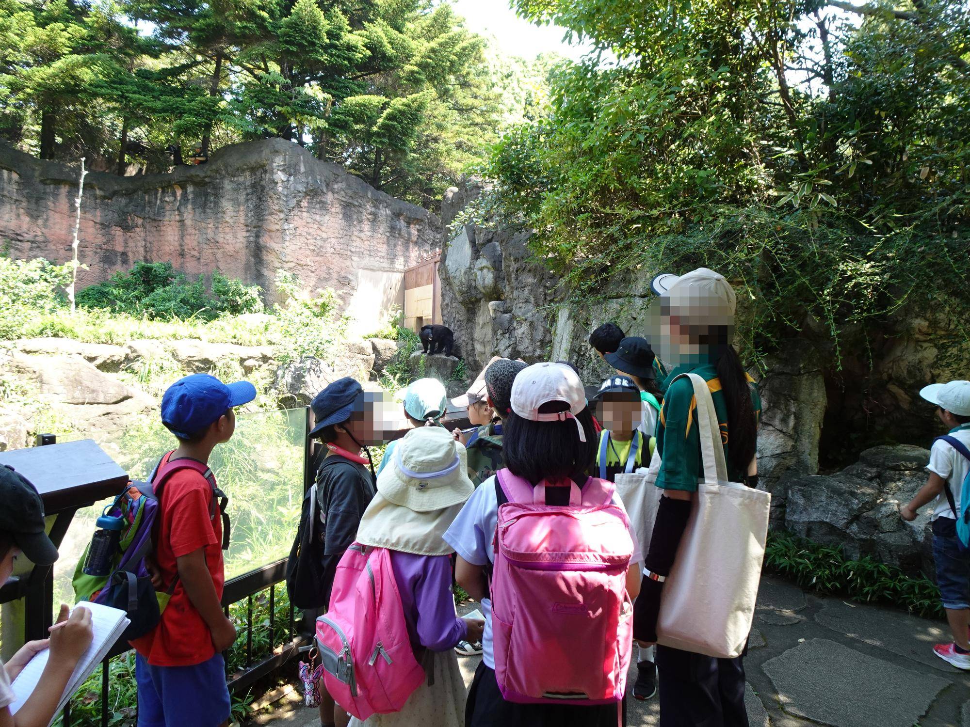 ツキノワグマ観察 モザイク.jpg