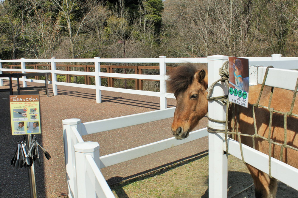 ここにもいるよ ブログ よこはま動物園ズーラシア公式サイト 公益財団法人 横浜市緑の協会