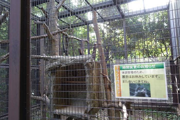 新しい家族が増えました 飼育日誌 よこはま動物園ズーラシア公式サイト 公益財団法人 横浜市緑の協会