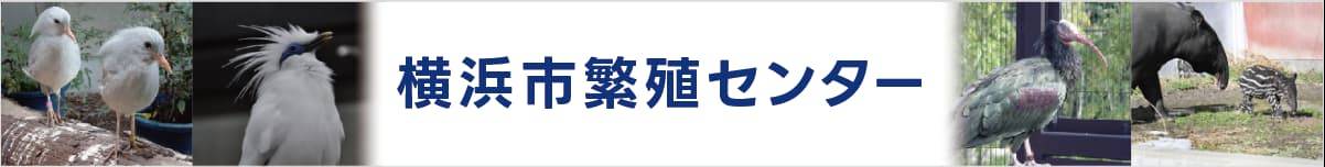 横浜市繁殖センター