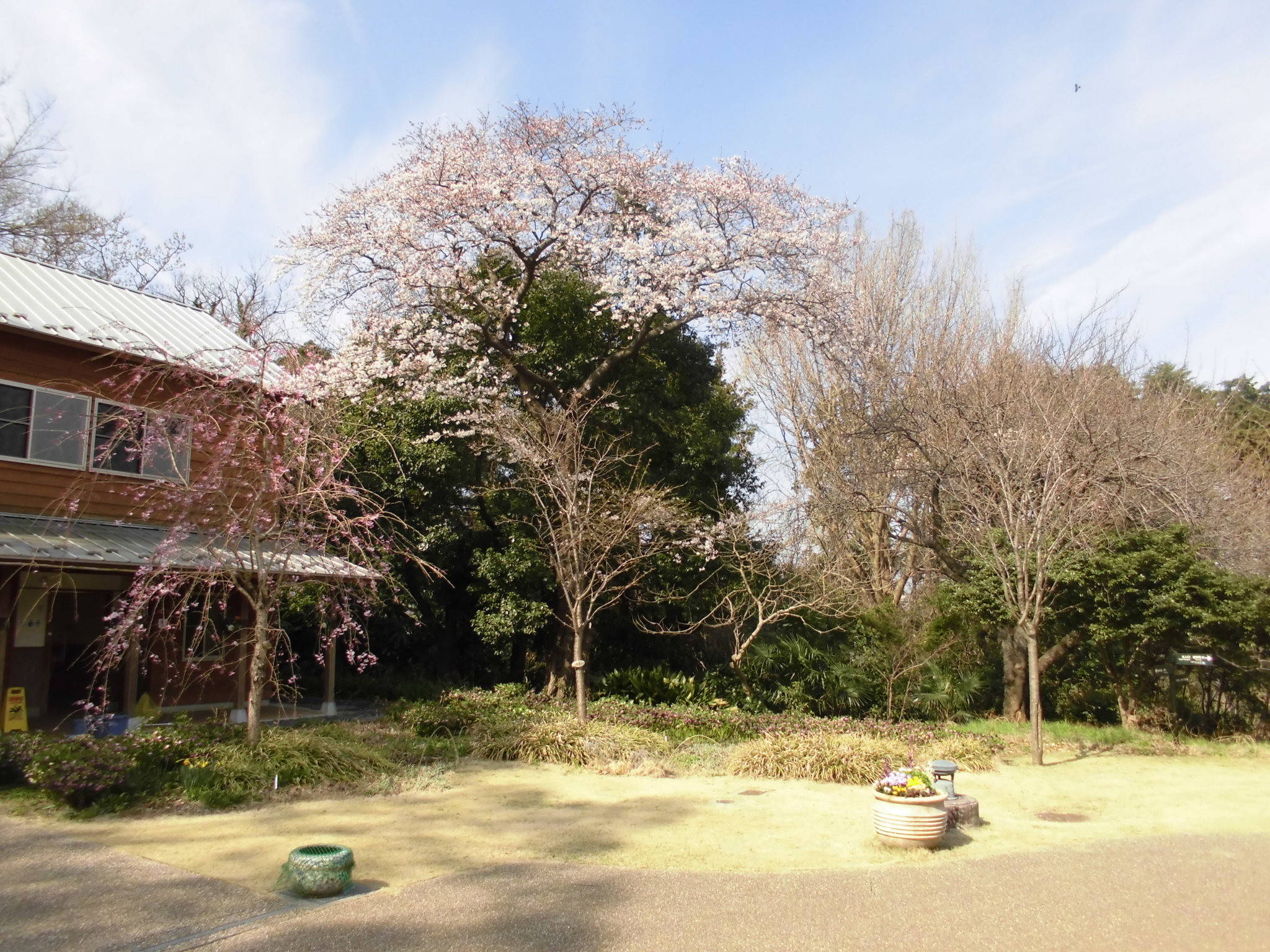 /park/matanobettei/authora8510/CIMG8375.jpg