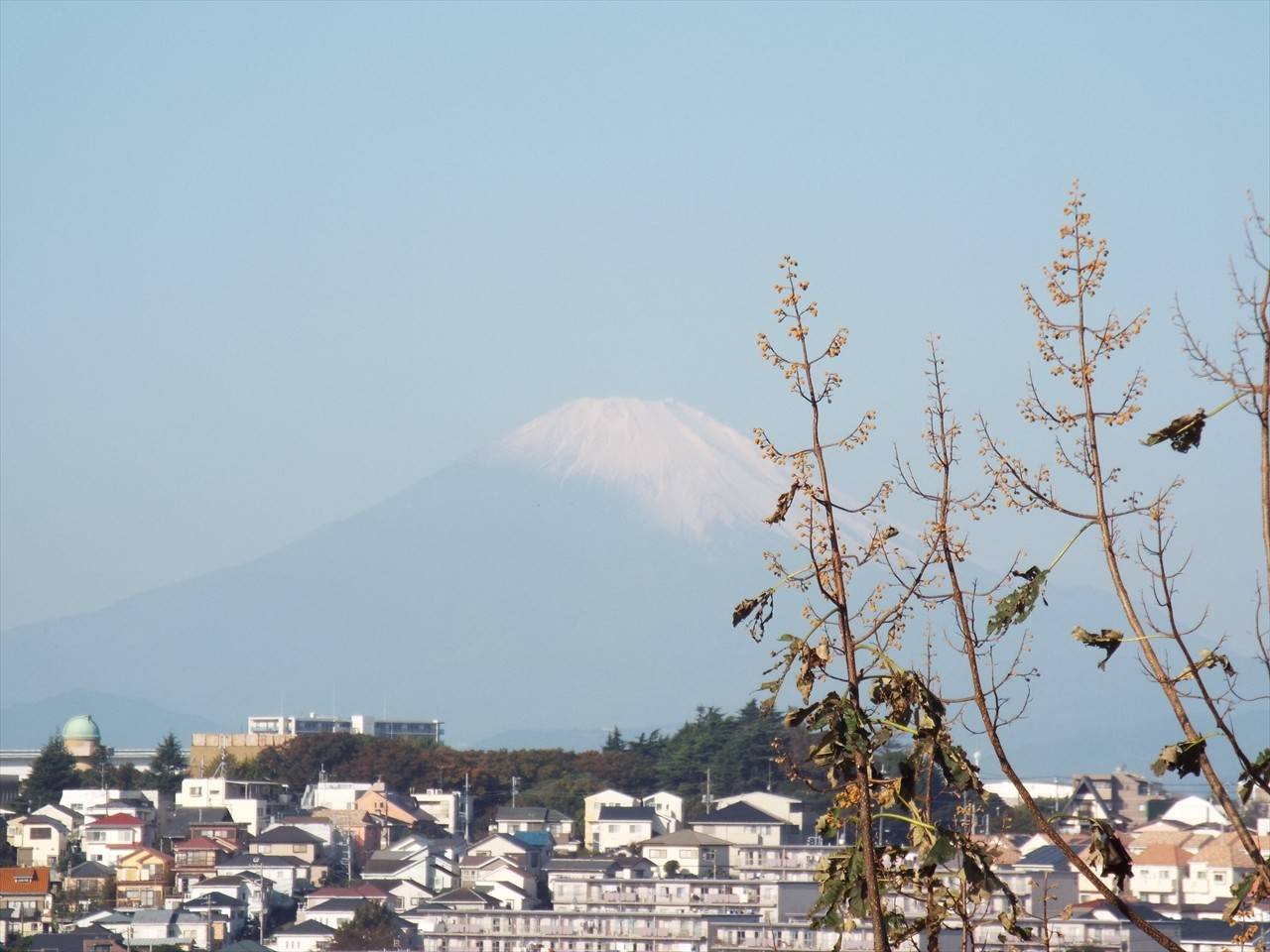 /park/matanobettei/authora8510/DSCF2764_R.jpg