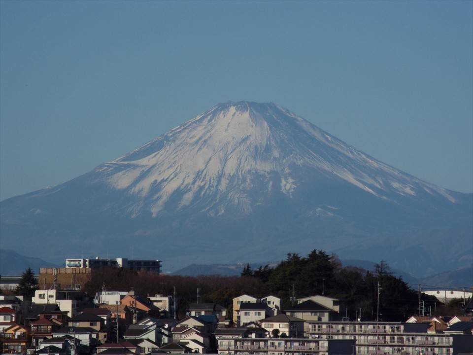 /park/matanobettei/authora8510/DSCF4931_R.jpg