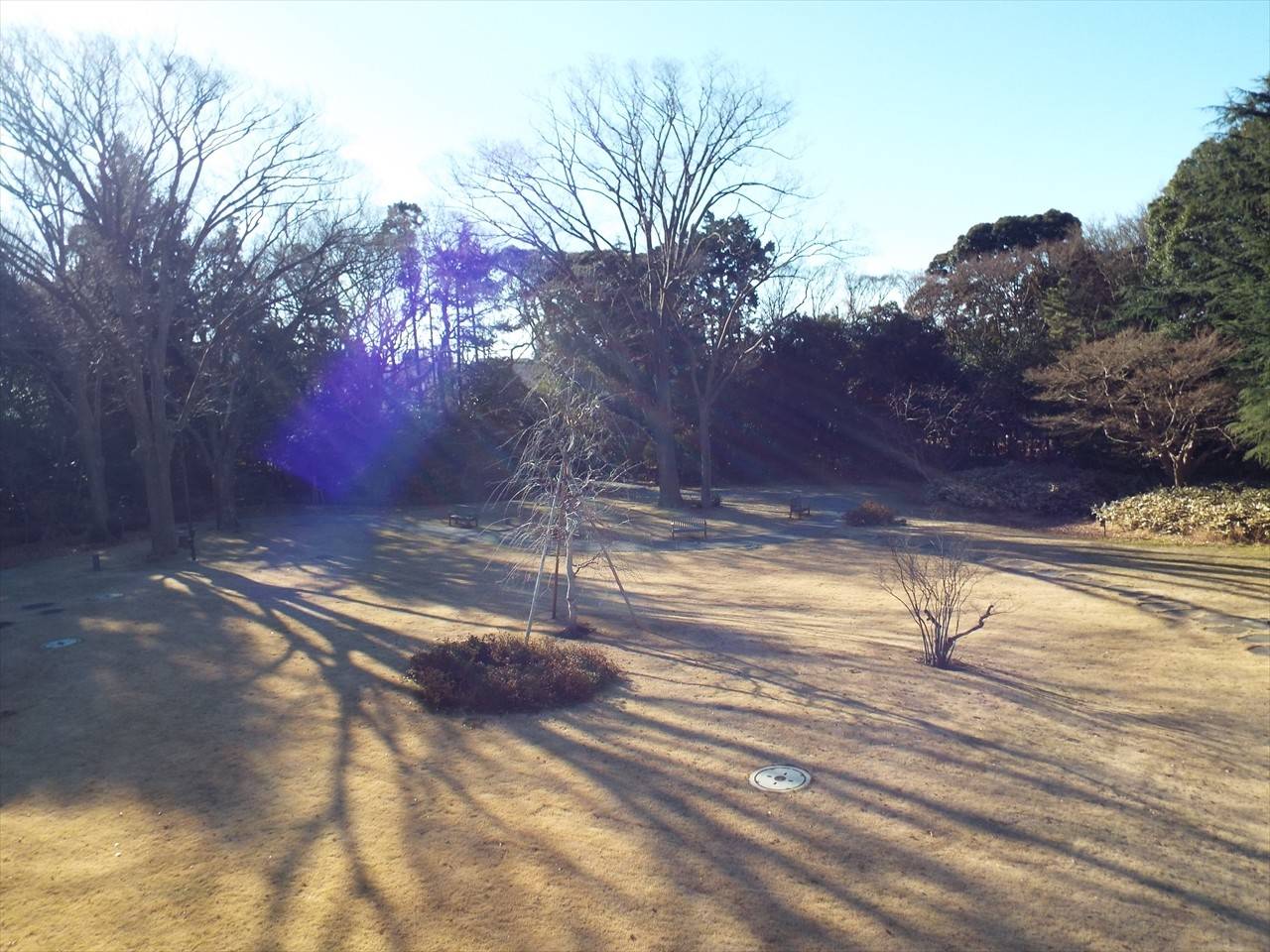 /park/matanobettei/authora8510/DSCF4934_R.jpg