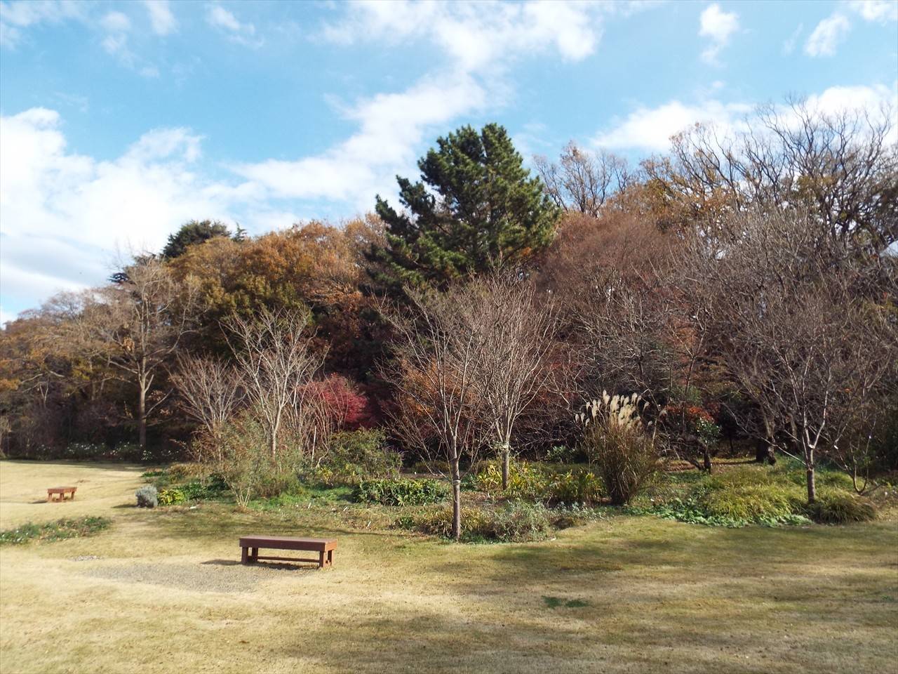 /park/matanobettei/authora8510/DSCF5011_R.jpg