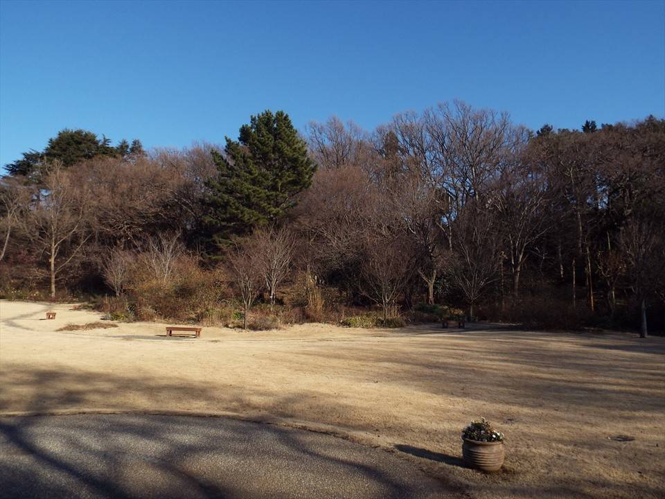 /park/matanobettei/authora8510/DSCF5027_R.jpg