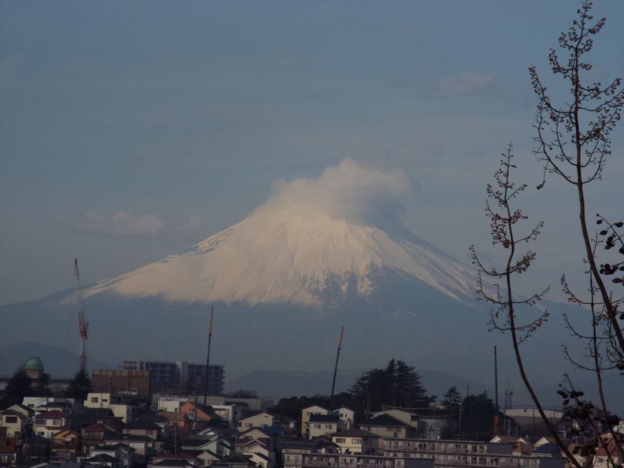 /park/matanobettei/authora8510/DSCF5559_R.jpg