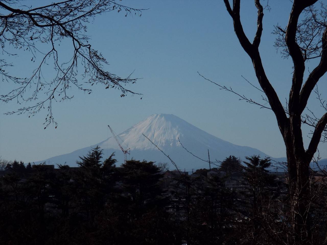 /park/matanobettei/authora8510/DSCF5790_R.jpg