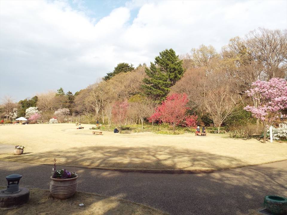 /park/matanobettei/authora8510/DSCF7006_R.jpg