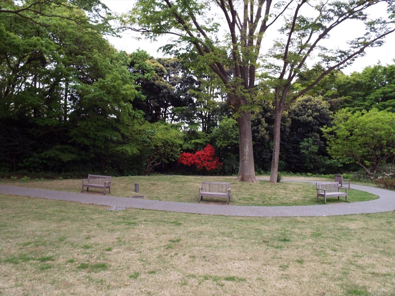 /park/matanobettei/authora8510/DSCF7634_R.jpg