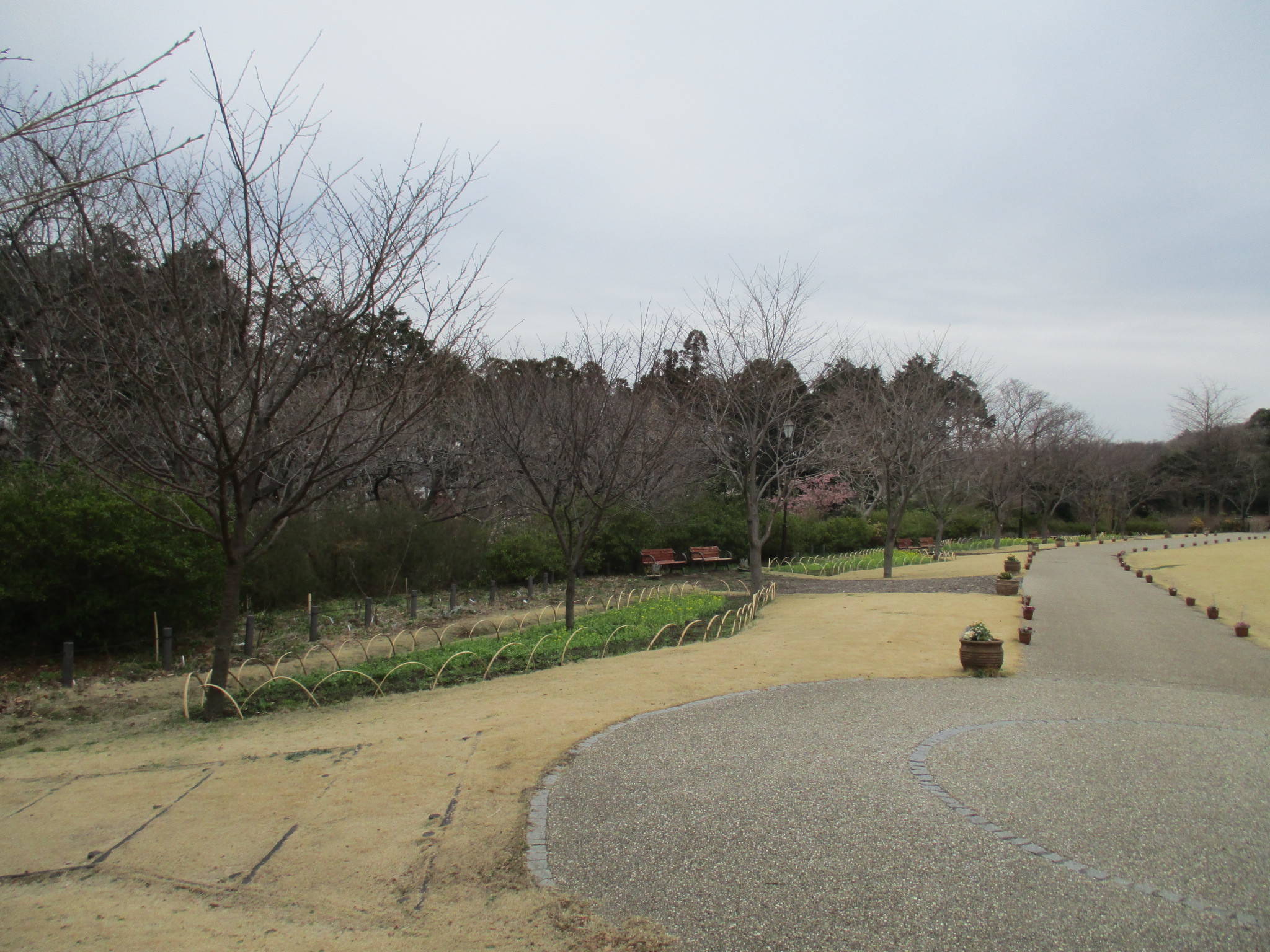 /park/matanobettei/authora8510/IMG_3017.jpg