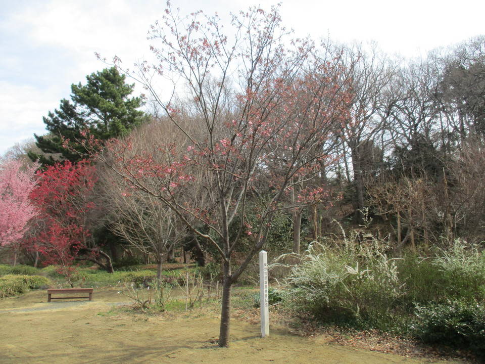 /park/matanobettei/authora8510/IMG_3147.jpg