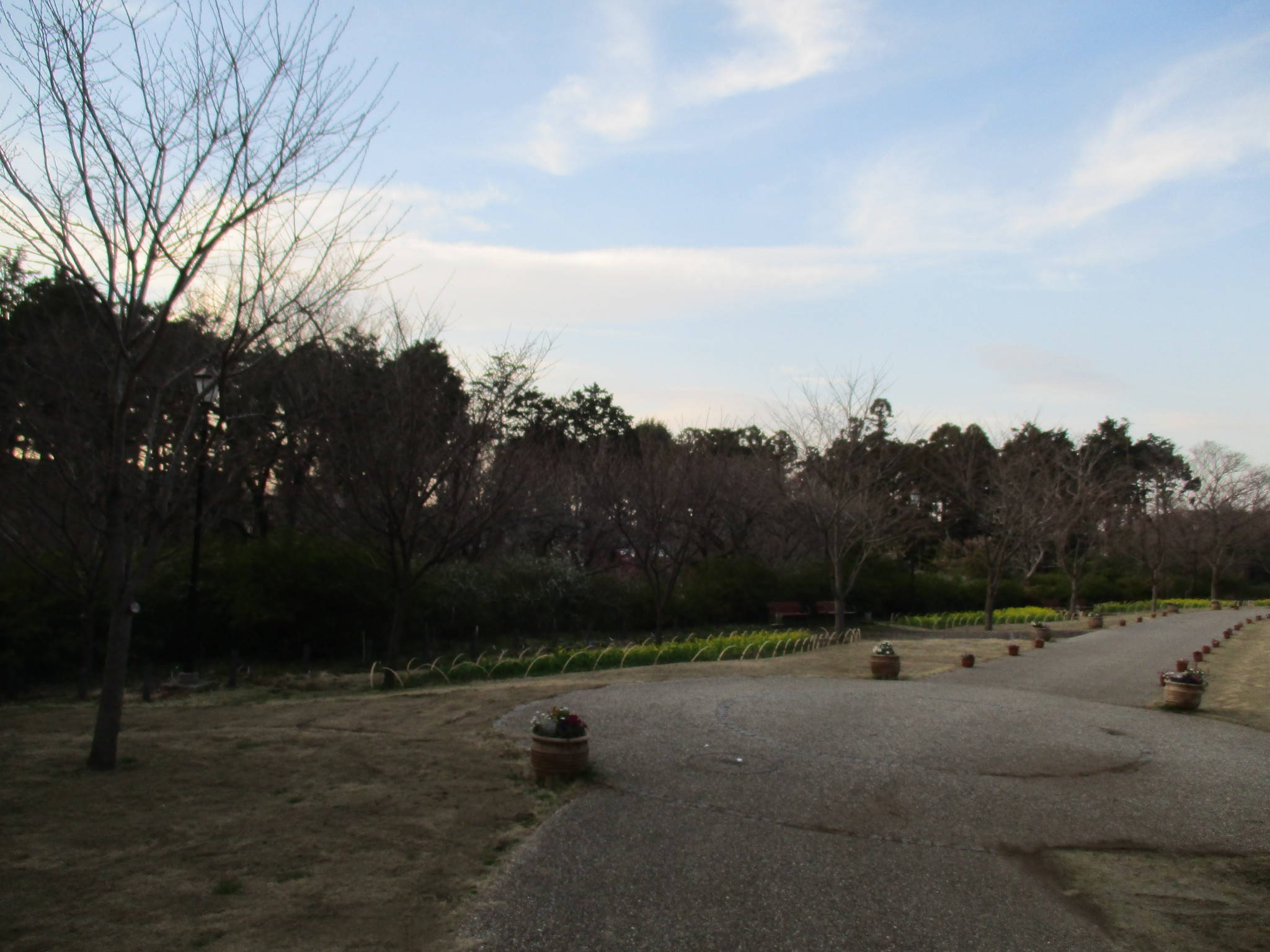 /park/matanobettei/authora8510/IMG_3158.jpg