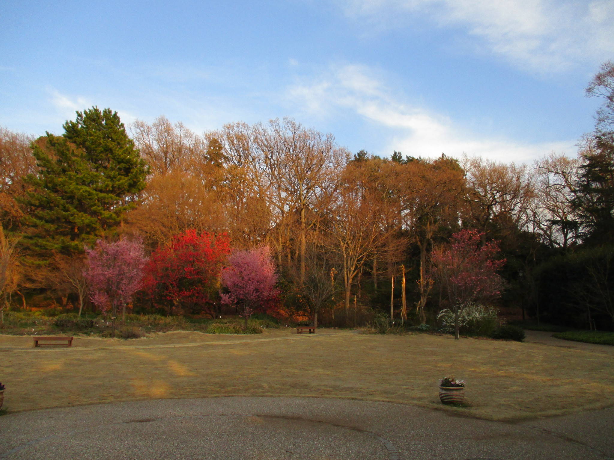 /park/matanobettei/authora8510/IMG_3164.jpg