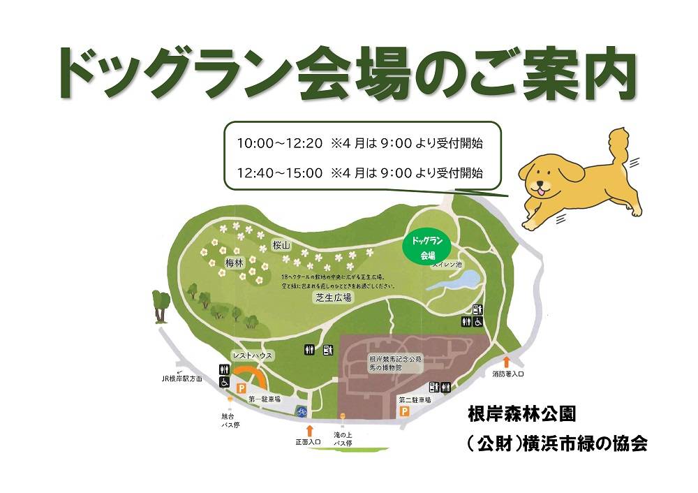 根岸森林公園ドッグラン ブログ 根岸森林公園公式サイト 公益財団法人 横浜市緑の協会