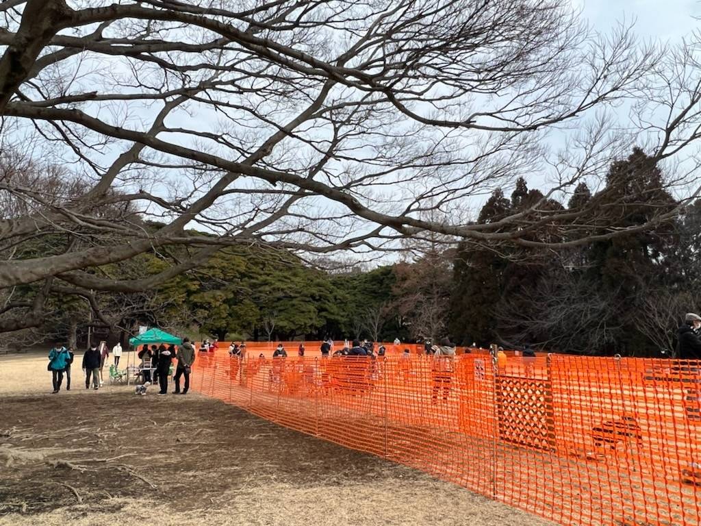 根岸森林公園ドッグラン ブログ 根岸森林公園公式サイト 公益財団法人 横浜市緑の協会