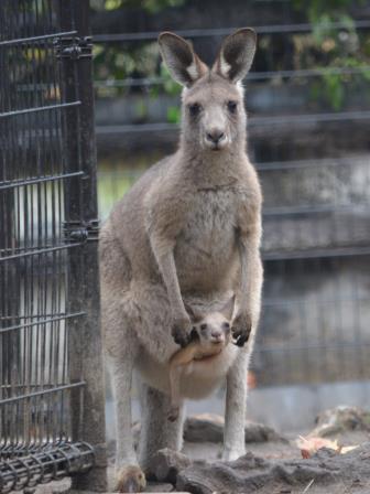 もうすぐ♪の写真