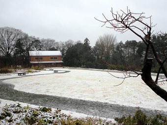 「冬野(ふゆの)」の写真