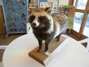 「動物園出張講座・果樹剪定講座」の写真