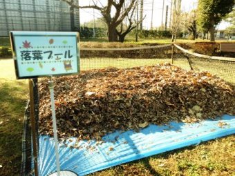 「紅葉と落葉」の写真