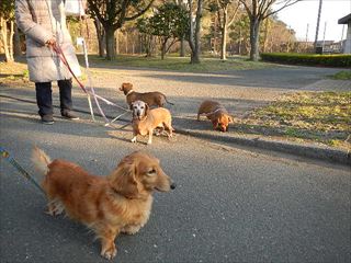 4年の一度の2月29日の写真