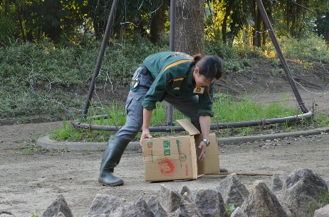 いつもと違う夏の写真