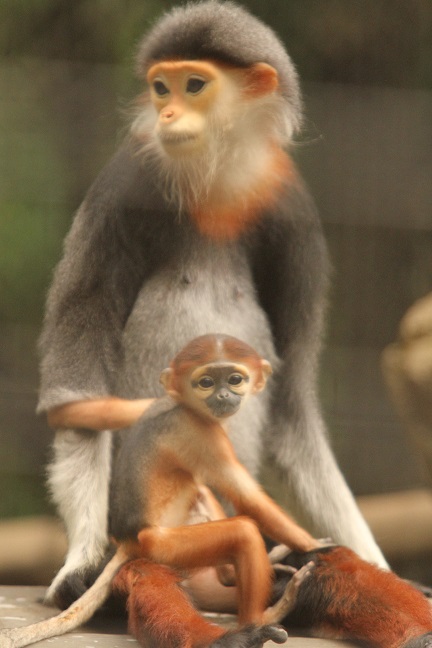 「サオ」に決まりました!の写真