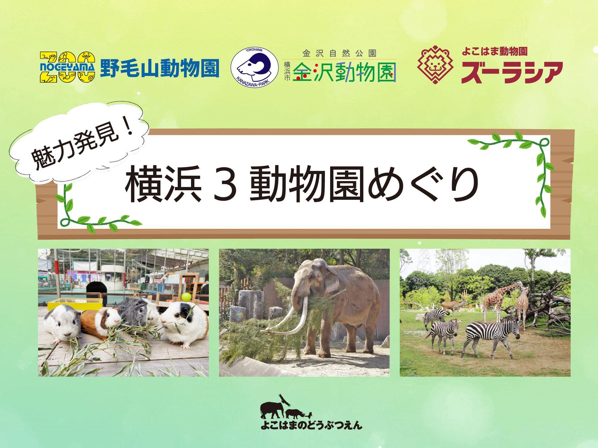 応募受付終了しました】「魅力発見！横浜３動物園めぐり」|イベント・講座・教室情報|金沢動物園公式サイト｜公益財団法人 横浜市緑の協会