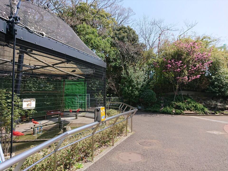 /zoo/nogeyama/authorc8504/DSC_7922_R.jpg