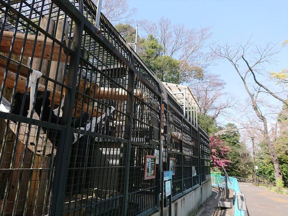 /zoo/nogeyama/authorc8504/DSC_7938_R.jpg