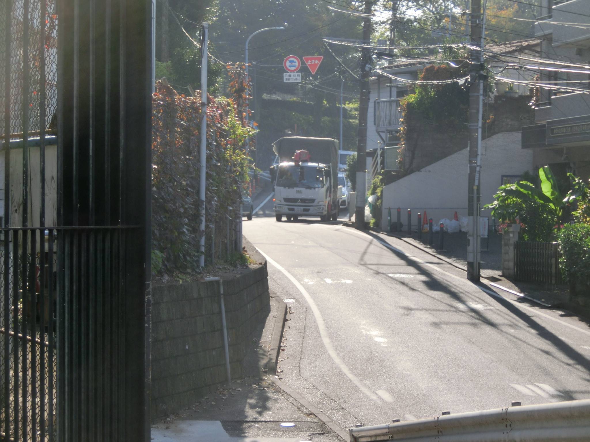 ラッキーがやってきた日 動物トピックス 野毛山動物園公式サイト 公益財団法人 横浜市緑の協会