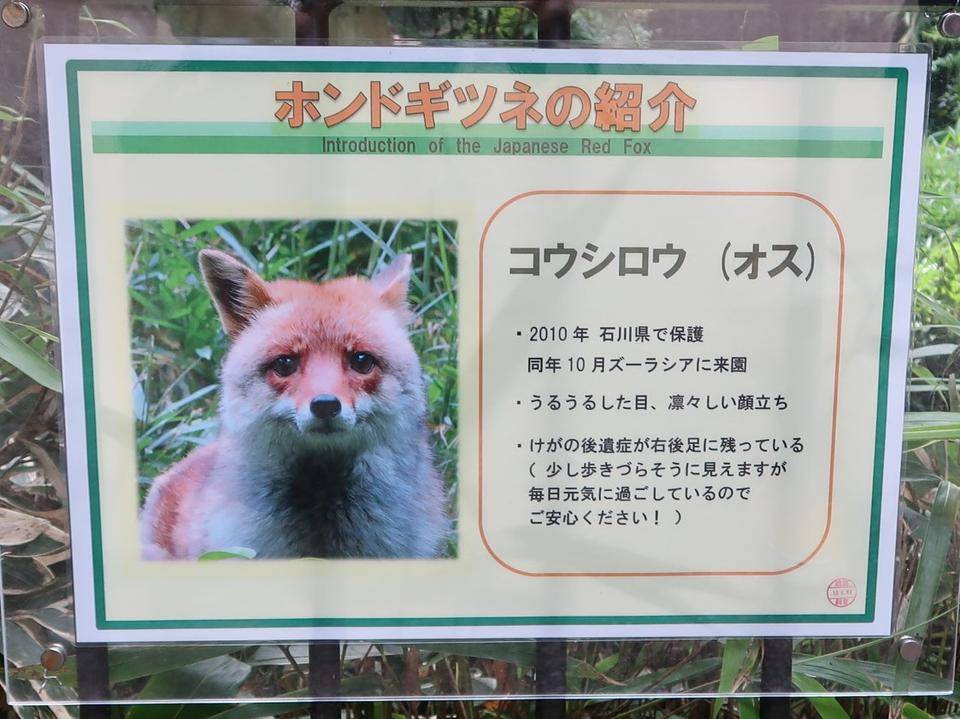 たくさんありがとうございました 飼育日誌 よこはま動物園ズーラシア公式サイト 公益財団法人 横浜市緑の協会