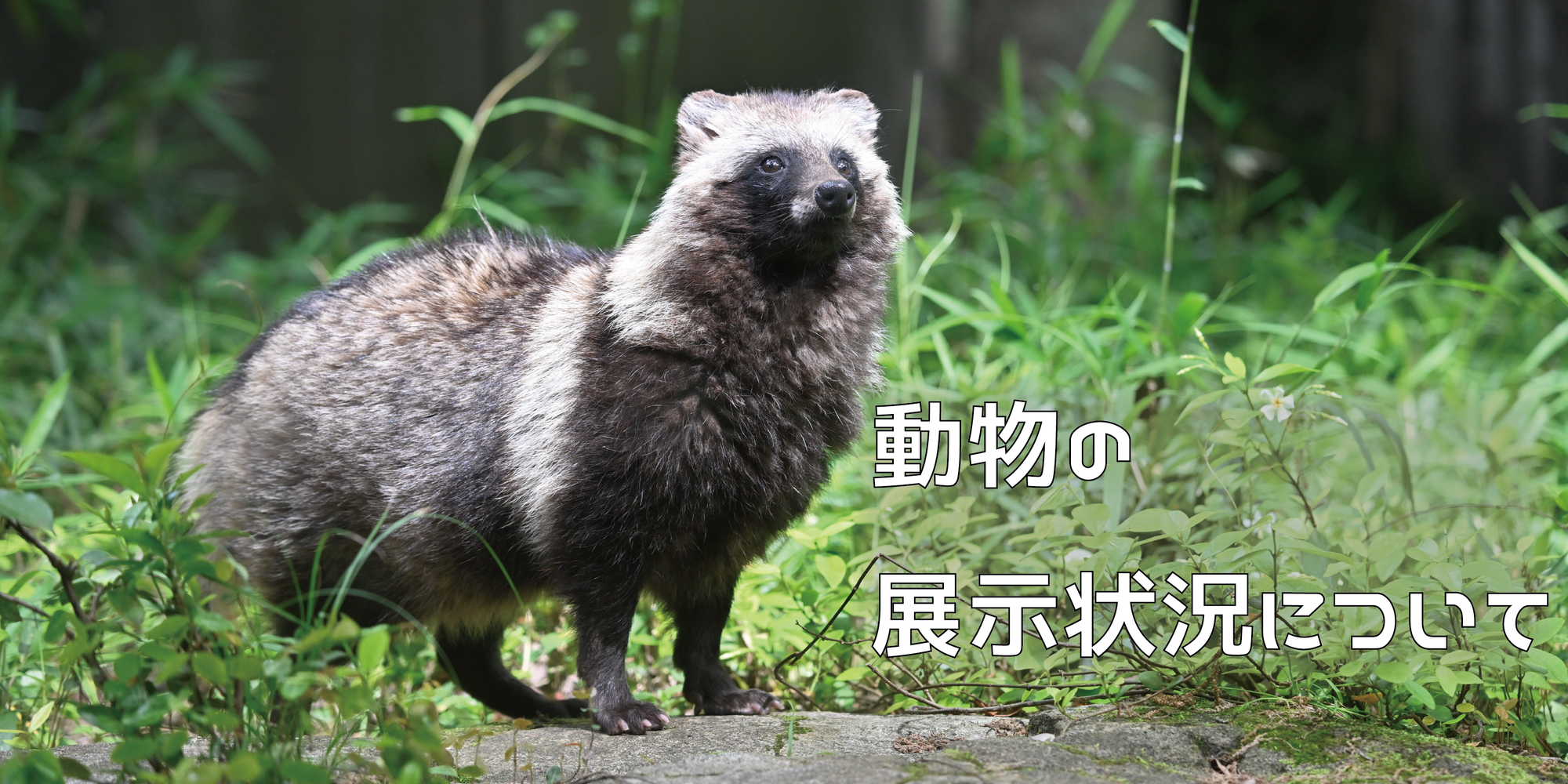 よこはま動物園ズーラシア公式サイト｜公益財団法人 横浜市緑の協会