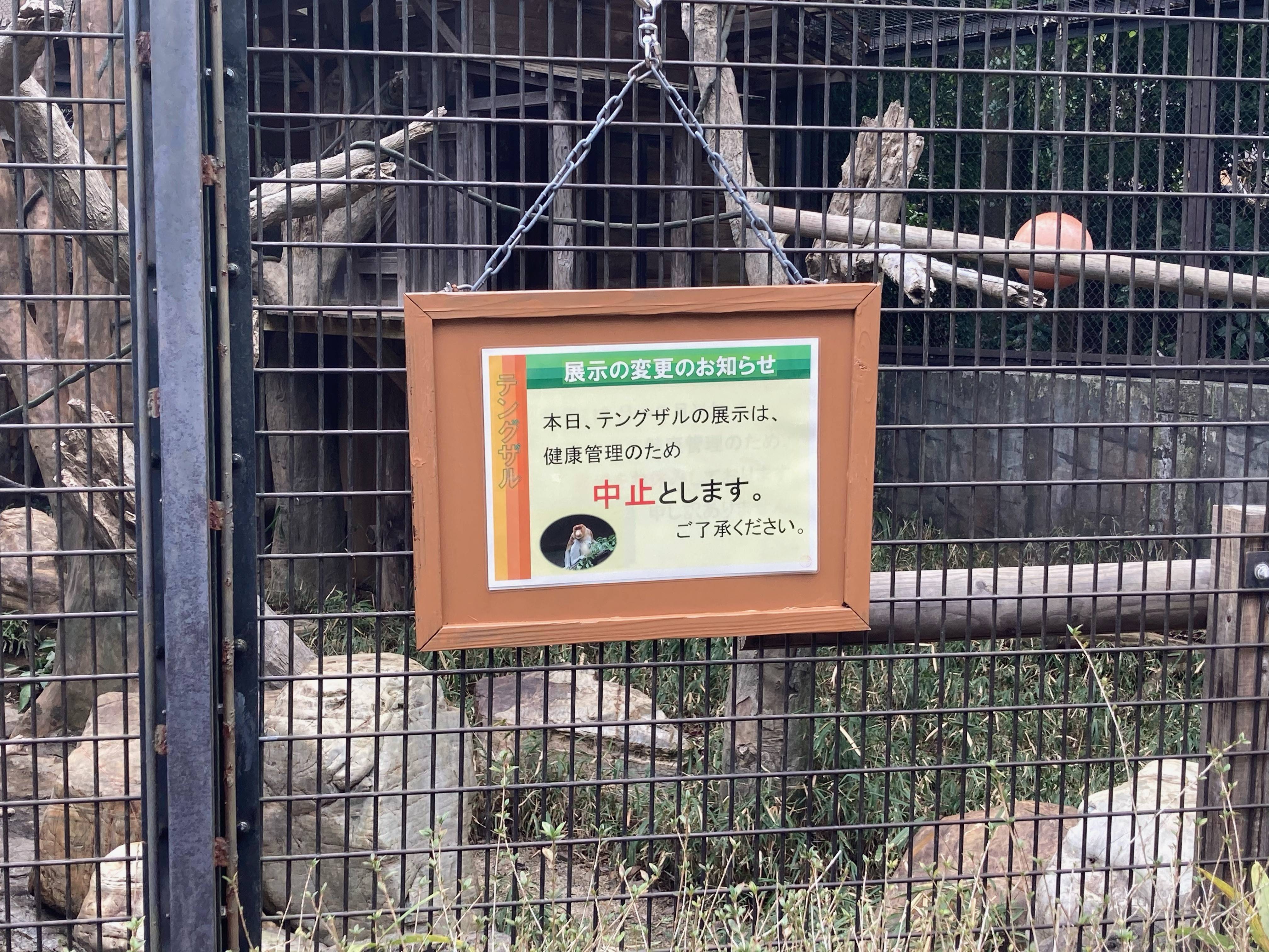 非展示中のテングザル展示場付近☆*＋。|飼育日誌｜ブログ|よこはま動物園ズーラシア公式サイト｜公益財団法人 横浜市緑の協会